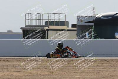 media/Mar-29-2025-Pro Autosports (Sat) [[89b1c017ad]]/6-Purple Group/Main Race/